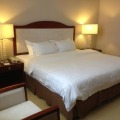 Gaya Centre Hotel