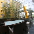 Image 23