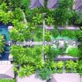 The Mansion Resort Hotel & Spa