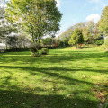 Image 24
