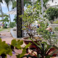 Sun & Sands Beach Hotel