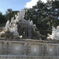 Image 15