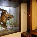 Japa Suites & Villas