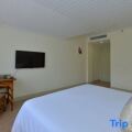 Golden Palm Resort