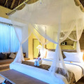 Atta Mesari Villas