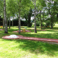 Image 15