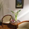 Aristo Saigon Hotel