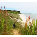 Image 15
