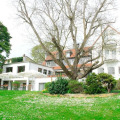 Image 20