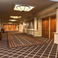 Image 15