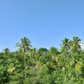 Sheraton Kosgoda Turtle Beach Resort