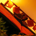 Pelwehera Village Resort