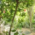 Dionis Villa