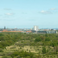 Image 31