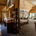 Tribe Yala - Luxury Camping