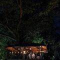 The Diwa Club By Alila Diwa Goa - A Hyatt Brand