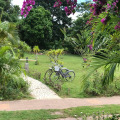 Image 30