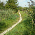 Image 18