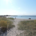Image 14