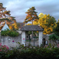 Image 15