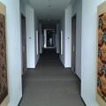 Image 14