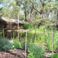 Image 35