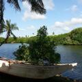 Coconut Island
