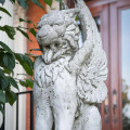 Image 45