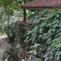 Sepilok Forest Edge Resort