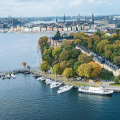 Image 21
