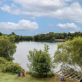 Image 31