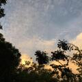 Open Sky