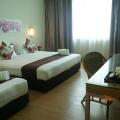 Tang Dynasty Park Hotel