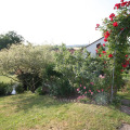 Image 29