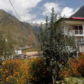 Image 13