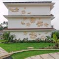 White Pearl Suites