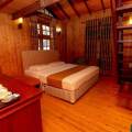 Alpine Hotel