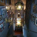 Image 15