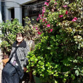 Image 20