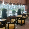 Image 15