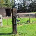Image 34