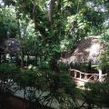 Pelwehera Village Resort