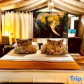 Mahoora Tented Safari Camp - Wilpattu