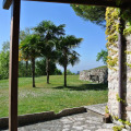 Image 21