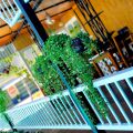 Lucky Phu Quoc Hotel