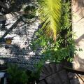 Frangipani Beach Villa