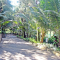 Hawaii Resort Phu Quoc