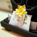 Baleka Resort Hotel & Spa
