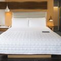 Le Meridien Goa
