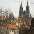 Image 13